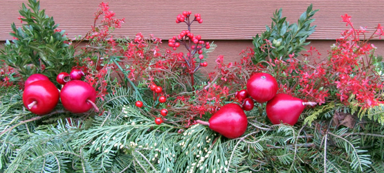 Calendar – December – Seasonal Calendar - December - Seasonal