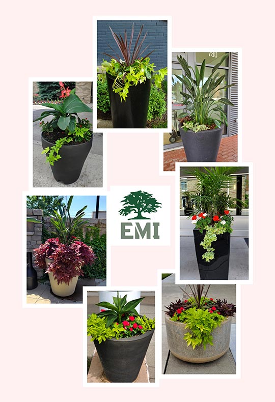 Planters