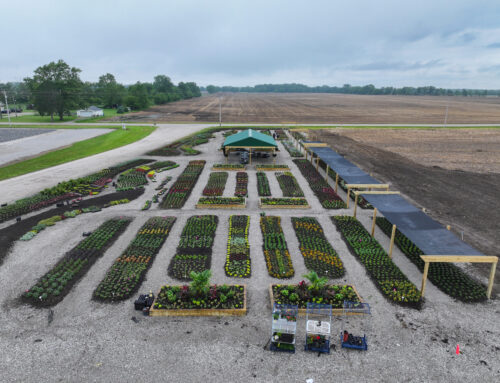 Trial Garden at Green Legacy